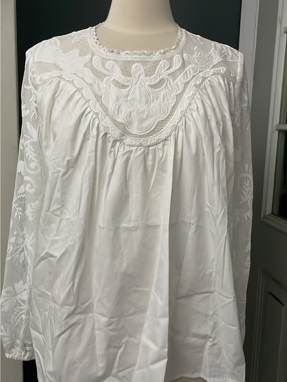 Amazon White Lace Yoke Long Sleeve Chemise